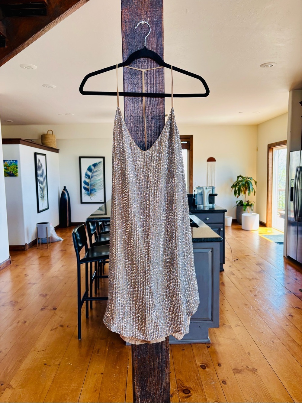 Haute Hippie Champagne Silver Sequin Embellished Slip Dress - Picture 13 of 14